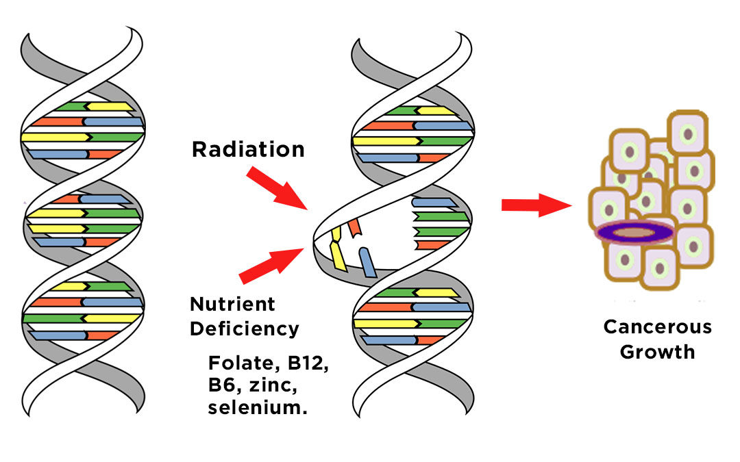 How nutrient deficiency causes cancer