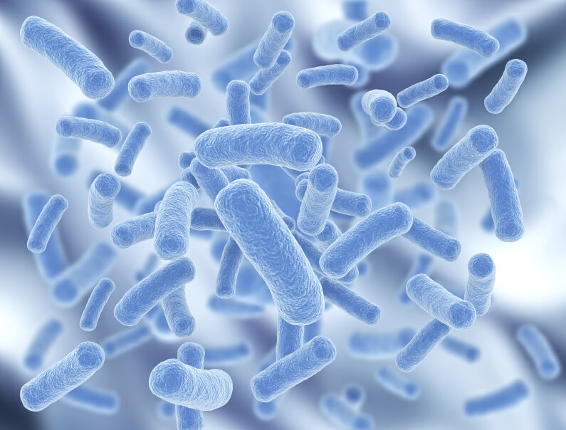 The right time to take probiotics